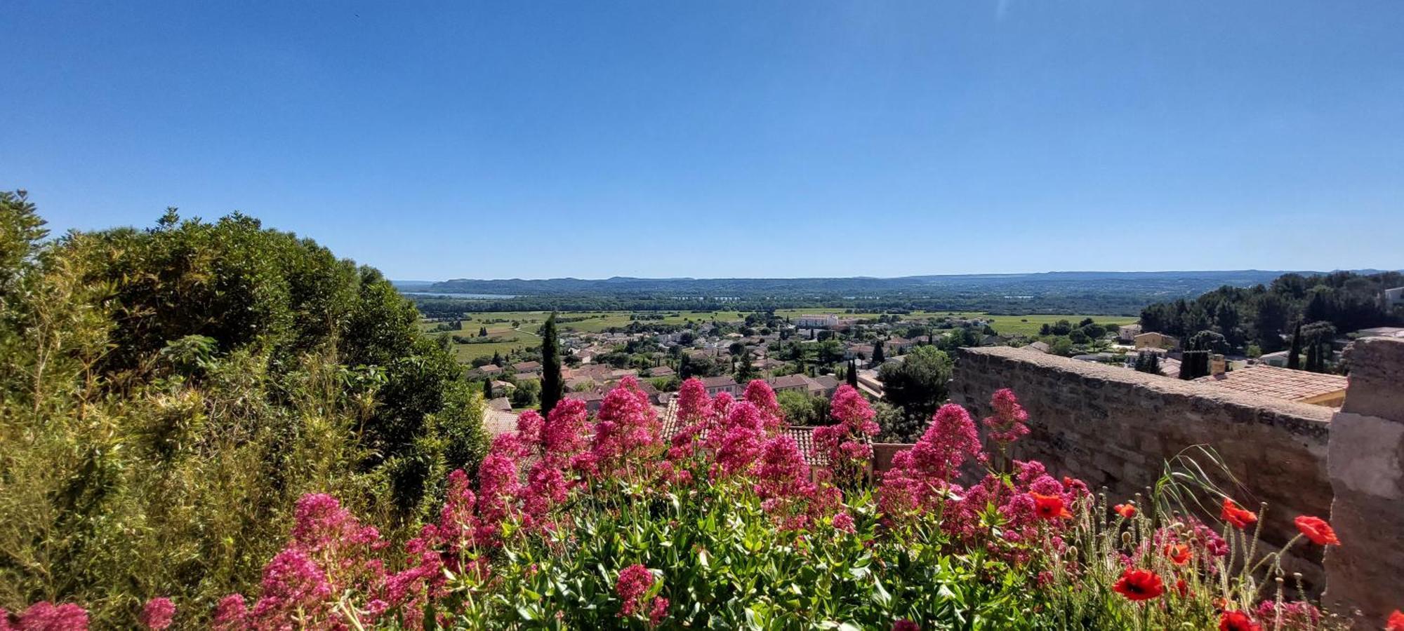 Gite De L'Olivier, Classe, Climatise, Jardin Avec Parking Gratuit Devant Le Logement Et A 5 Minutes Du Centre-Ville A Pied LʼIsle-sur-la-Sorgue Exteriör bild
